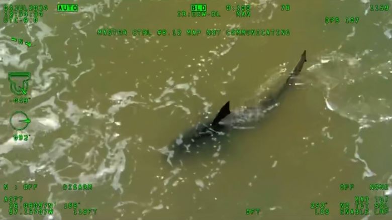 A Texas Department of Public Safety helicopter flew low over South Padre Island and utilized deterrence measures to keep a shark from getting close to shore on July 4th after the predator attacked multiple beachgoers, according to agency spokesperson Lt. Chris Olivarez.